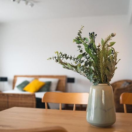Gundi House Hostel เอริเซรา ภายนอก รูปภาพ